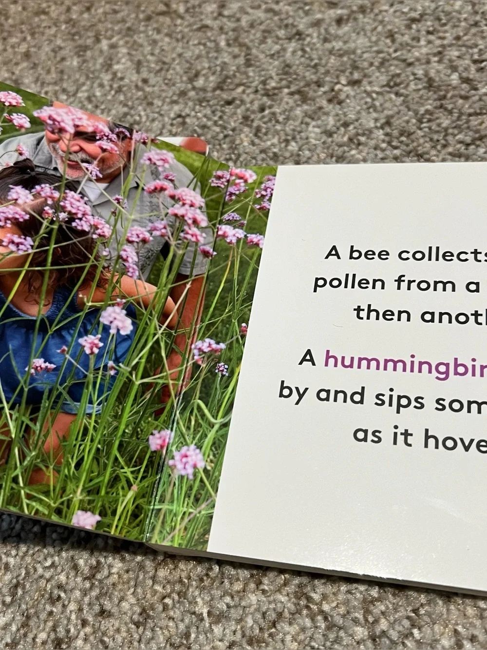 Lovevery Board Books Now that I’m three My favorite nature buddy